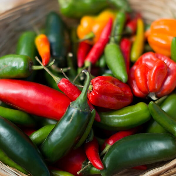 Hot Pepper Seeds